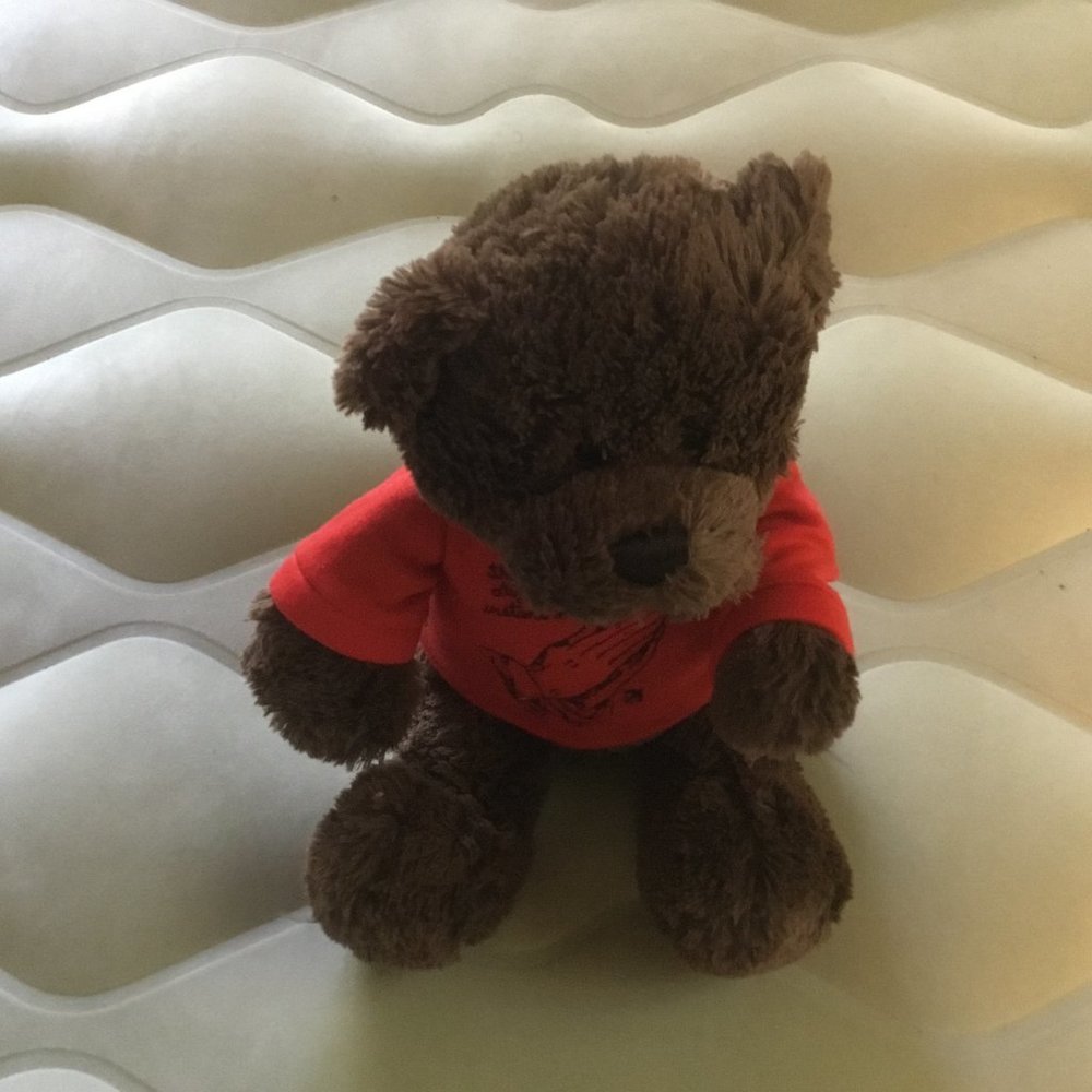 Gund Teddy Bear Let God Work Red T Shirt Plush Toy